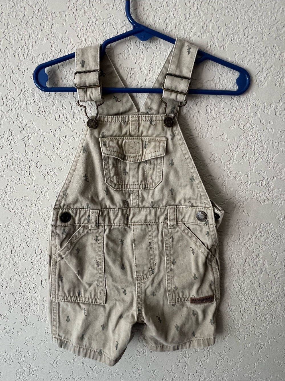 Carter’s Lizard & Cactus Overalls